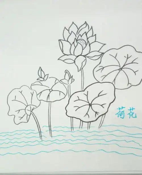 做出淤泥而不染的人