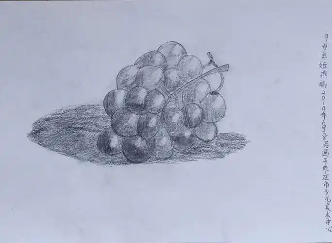枣庄少儿美术教育高级班素描练习-葡萄