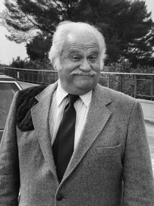 mike lallycustoms officer (uncredited)linda johnsonairport