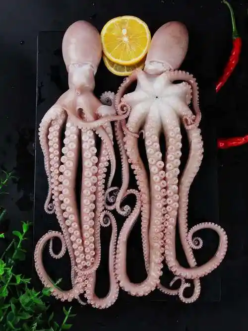 八爪鱼网红爆头新鲜鲜活长腿野生海捕迷你长腿八爪鱼二斤试吃装