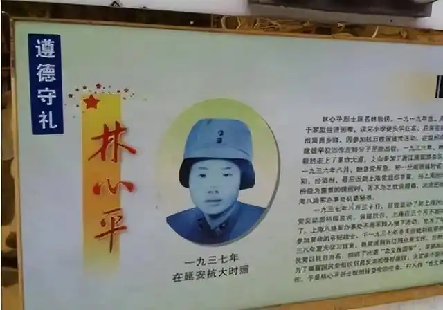 而林心平的孩子也因为体弱生病,没满周岁就夭折了.