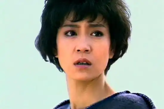 海鸥飞处彩云飞