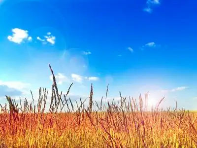 五彩缤纷,生机勃勃,平静的夏季景观和日落照片