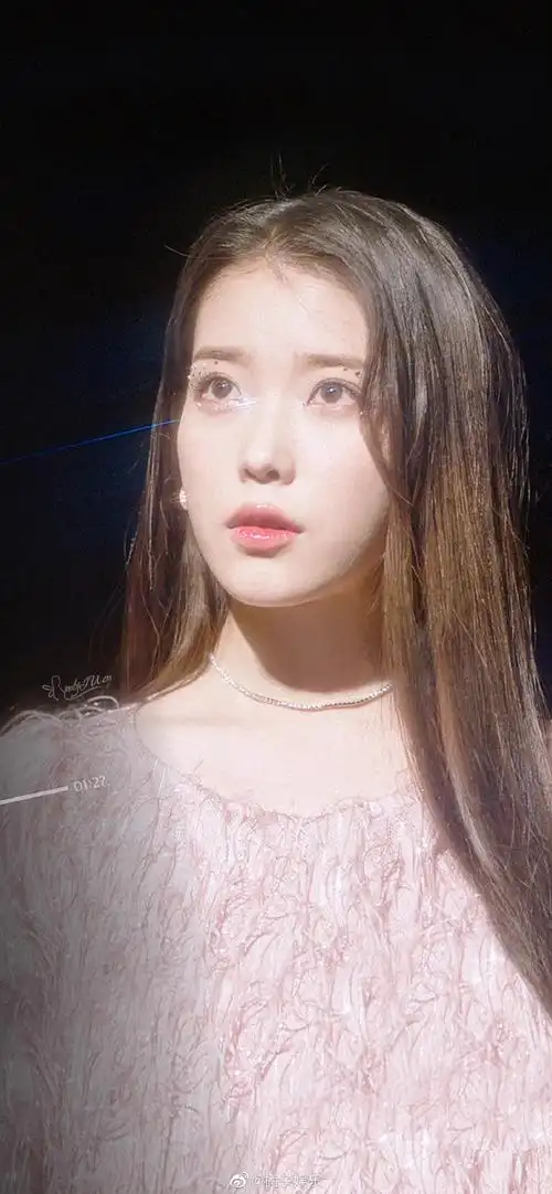 iu演唱会海报公开