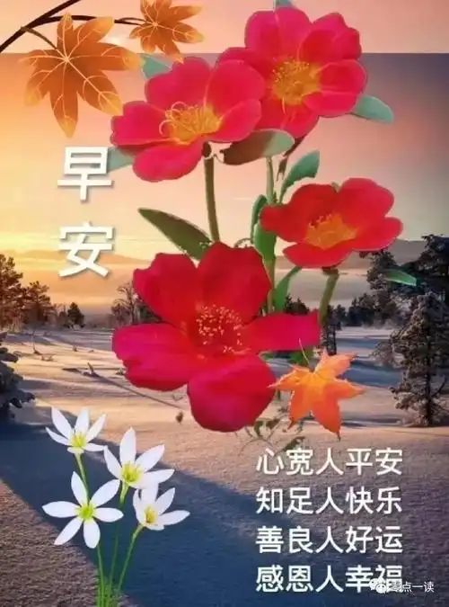 早上好精选漂亮温馨的早安问候语图片带字带祝福语