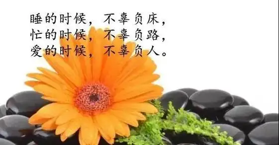 人生感悟的句子图片带字,句句深入人心的经典句子