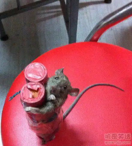 再见我要去奔月了 - 搞笑图片 - 查字典