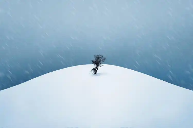 有哪些好看惊艳的壁纸背景图全面屏高清无水印