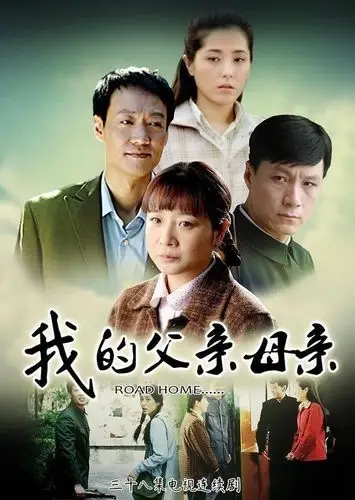 你追过的以下6部电视剧,你认为哪一部最好看?