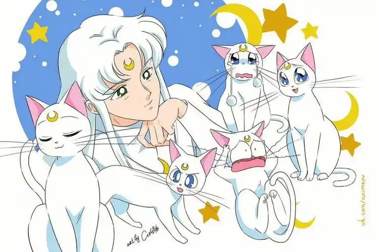 sailormoon美少女战士亚提密斯