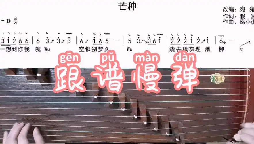 古筝d调芒种带谱慢弹示范练习版