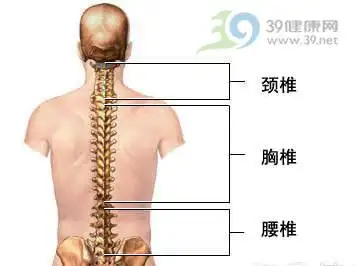 专家答疑腰椎间盘突出症