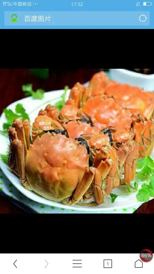 好吃的东西太多了.