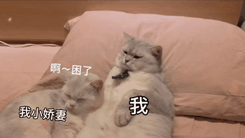 可爱沙雕表情包:有一说一,确实馋了