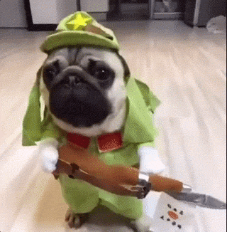 遇见这样的你,花光我所有好运气