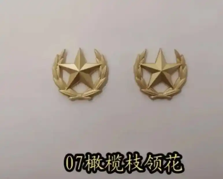 武警军装领花一共分六种.分别是武警警官橄榄枝领花,武警战士松枝领花