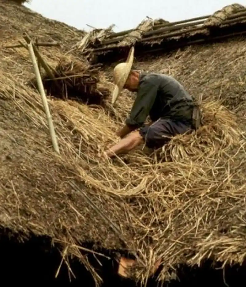 80年代农村罕见老照片:图4令人怀念,图6你一定做过,图9好尴尬