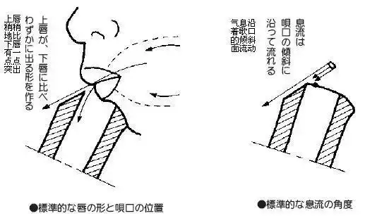看完此文尺八入门