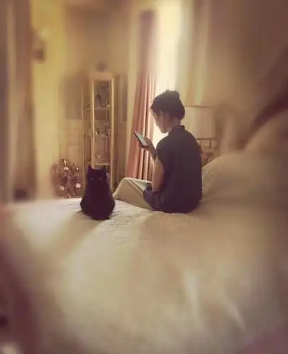 刘亦菲晒照温馨闺房曝光背影素雅小黑猫抢镜