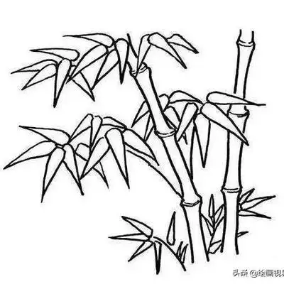 竹子白描线稿,喜欢绘画的你,还不快来收藏用来临摹,这么好的素材,值得