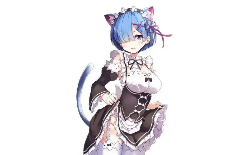 分享一些适合做手机壁纸的蕾姆图2018-9-27up主秋云剑灬8105评论:18