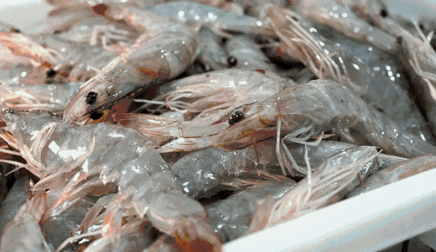 西亚斯这家虾锅一出场,瞬间秒杀所有虾店!一口就让你欲罢不能!