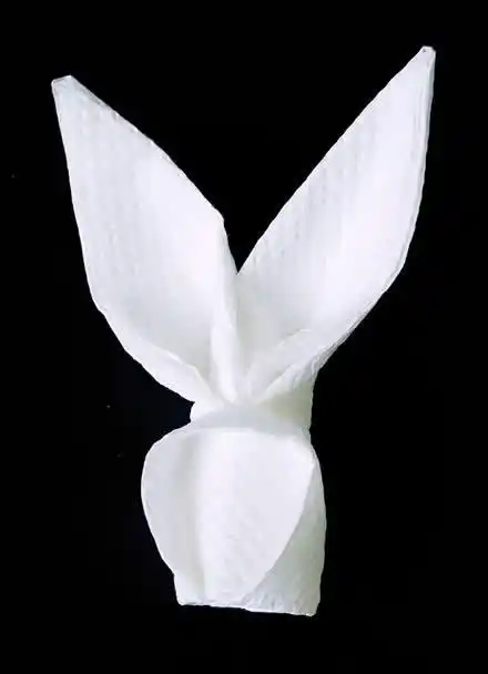 折纸餐巾纸兔子
