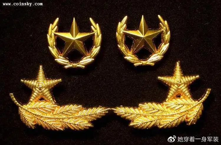 分为松枝叶领花和橄榄枝领花,军政后装军官及士兵领花中心为五角星