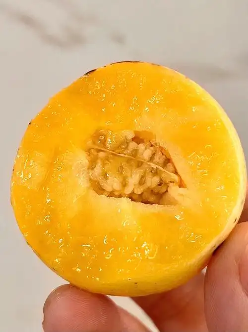 好吃到逆天的人参果!我一晚上吃了十个!!