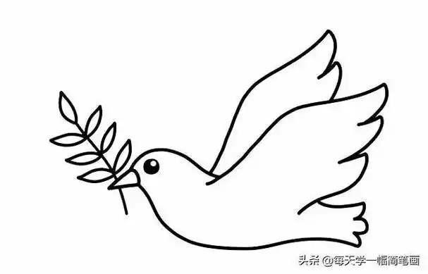 白鸽简笔画儿童 简笔画图片大全-蒲城教育文学网