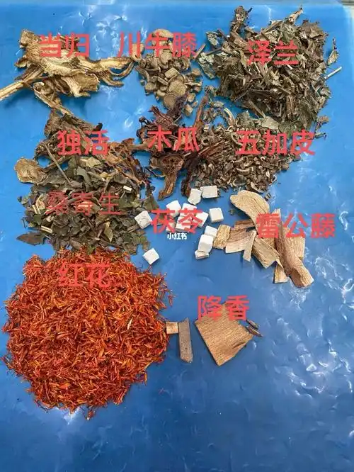 大家一起来认中药啦