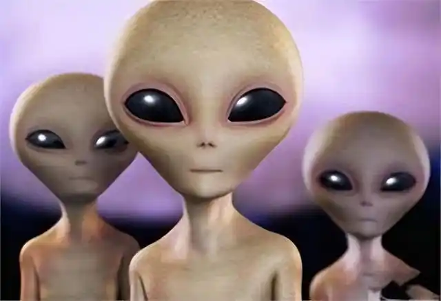 外星人到底长什么样?不明飞行物专家给出答案,脑袋大像倒置的梨