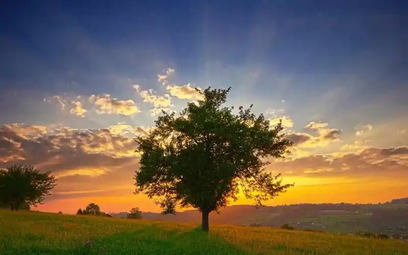 数学郭老师——高阶数学冲刺课