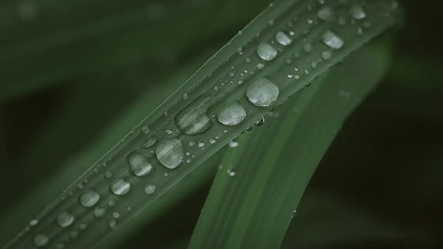 网罗最热门的明星,美女,卡通等图片,美桌网把热门壁纸图片推荐给您,让