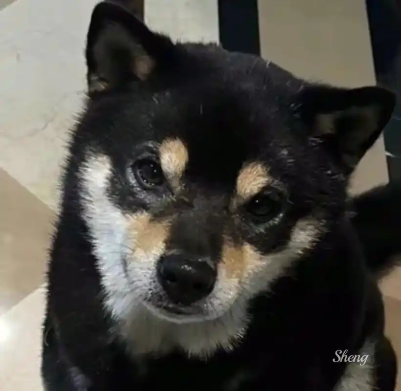 不是你们俩怎么越长越像啊!#长大前和长大后 - 抖音