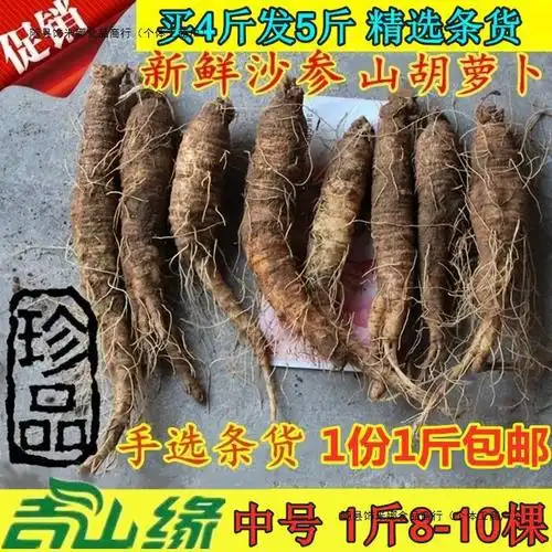 【中号沙参】东北新鲜沙参500克山胡萝卜山地瓜煎沙参买4斤送1斤