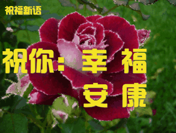 微信早上好问候祝福语最新漂亮动态图暖心的清晨好祝福语