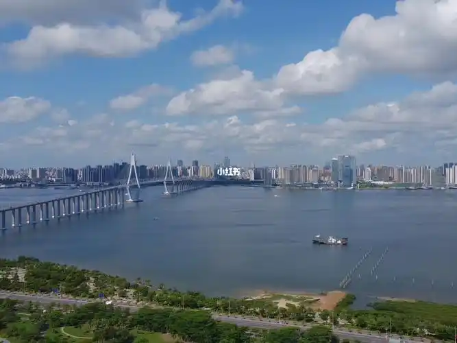 大疆  #航拍湛江海湾大桥  #夏天的味道