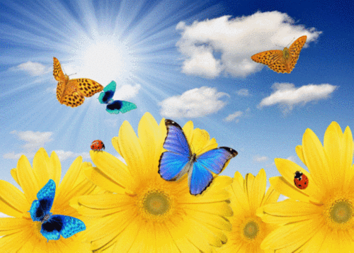 658_470gif 动态图 动图