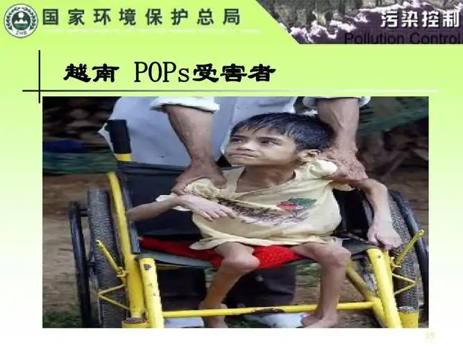 越南 pops受害者