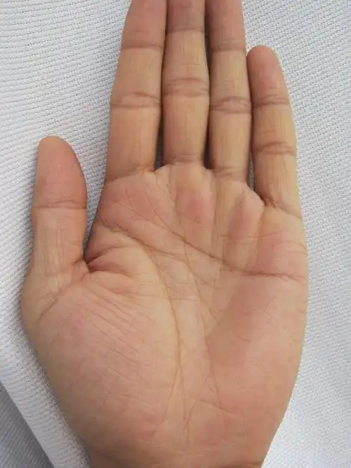 我手纹很乱,请帮忙看看.