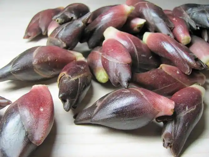 农村山里常见的野菜, 能滋阴补肾,治疗头晕 ,曾被出口到泰国