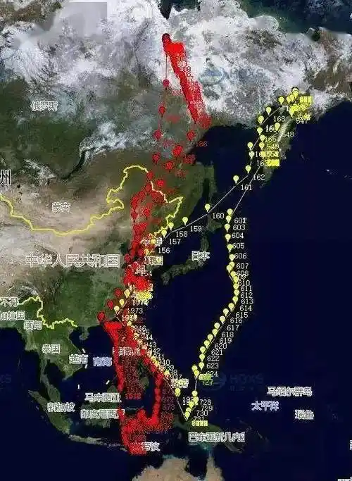 燕子万里迁徙到南半球猎手伺机而动还被人捕食犹如死亡行军