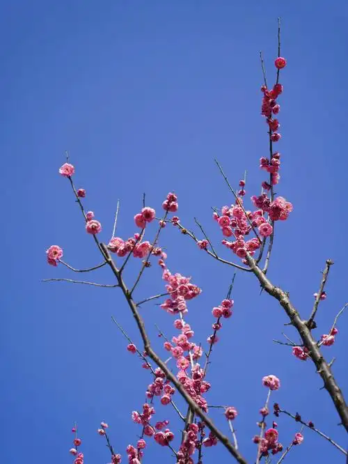 1080_1439竖版 竖屏