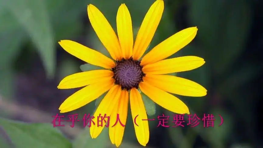 在乎你的人(一定要珍惜)