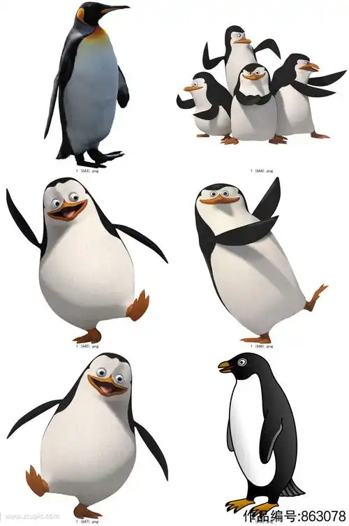 彩色精美动物企鹅创意设计元素素材