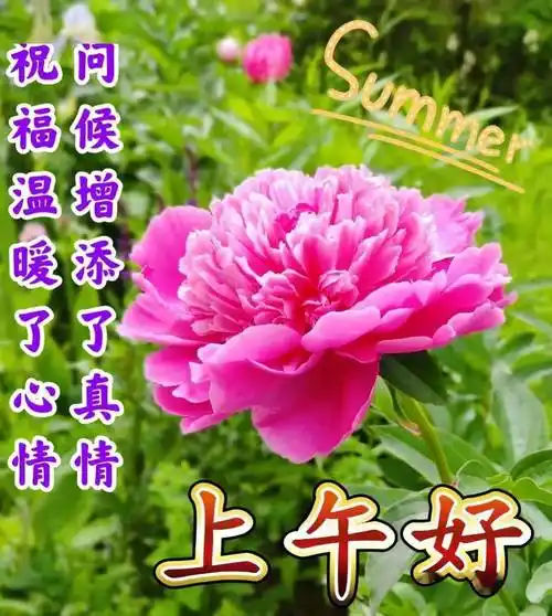 最新好看早上好动态表情图片大全,迎接新的一天开始_问候_祝福_真情