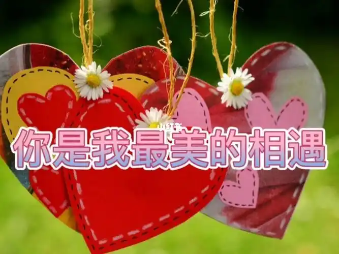 你是我最美的相遇