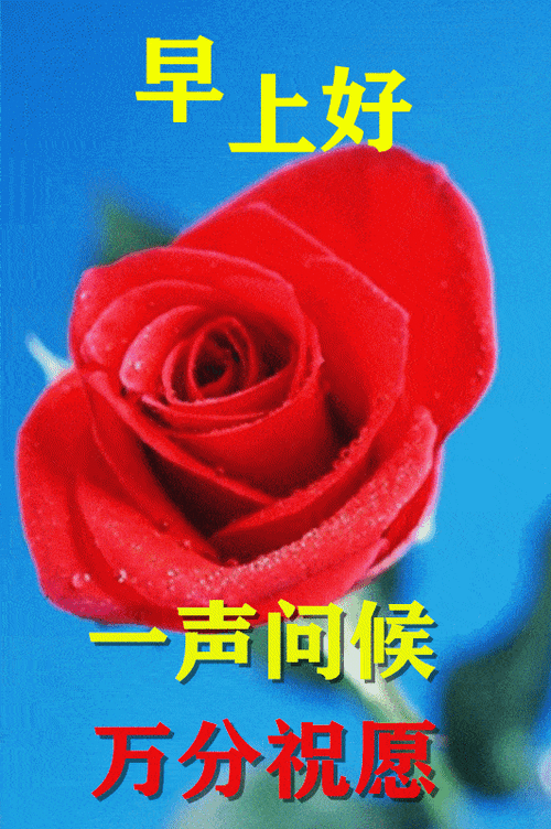 清晨早上好温馨问候动态表情祝福语图片早安问候语及暖心的话