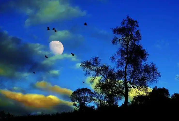 关山草原陕西的小阿尔卑斯